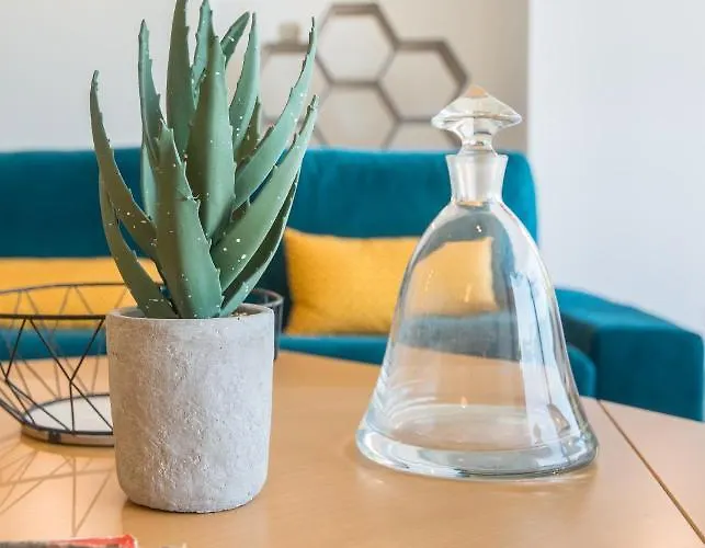 Open Sun Avec Jacuzzi Privatif Et Parking Prive Apartman